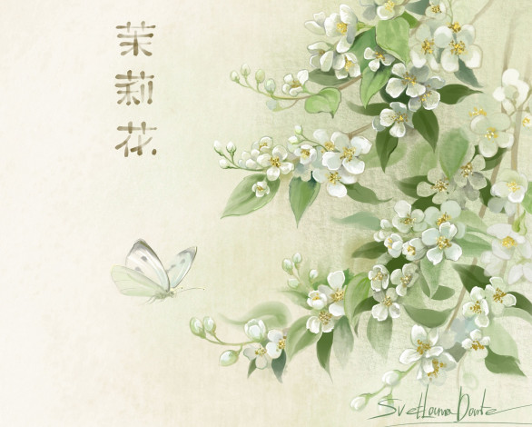 Обои картинки фото рисованное, цветы, жасмин, бабочка