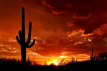 Картинка природа восходы закаты закат пустыня