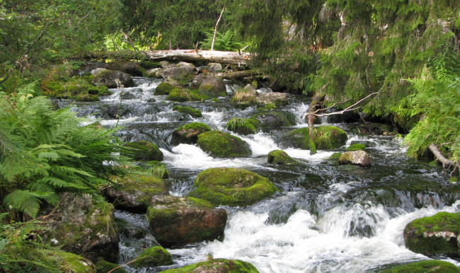 Обои картинки фото природа, реки, озера, деревья, камень, вода