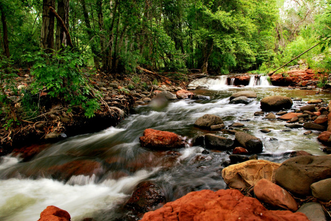 Обои картинки фото природа, реки, озера, деревья, камень, вода