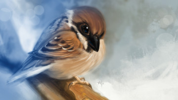 Картинка рисованные животные птицы птичка