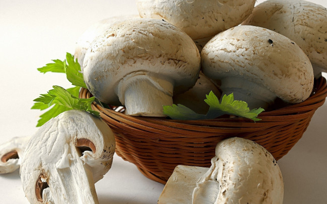 Обои картинки фото еда, грибы, грибные, блюда, корзина, шмпиньоны