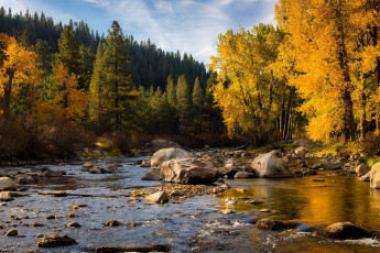 Картинка природа реки озера лес камни осень речка