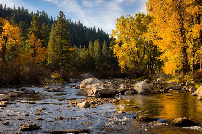 Обои картинки фото природа, реки, озера, лес, камни, осень, речка