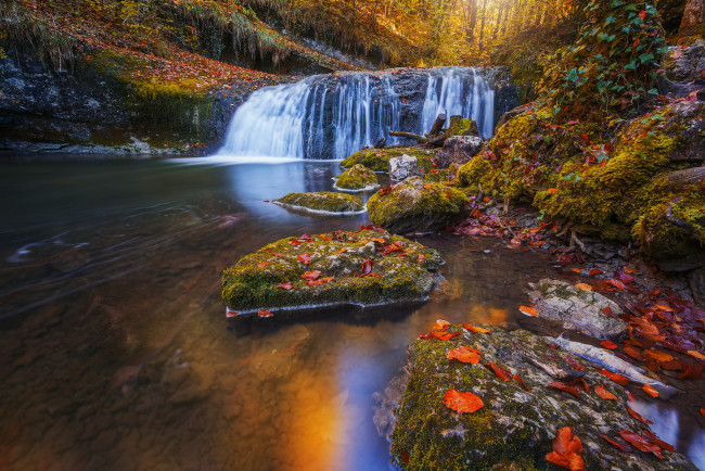 Обои картинки фото природа, водопады, пейзаж, ручей, листья, лес, осень, деревья, камни