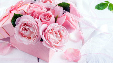 Картинка цветы розы коробка розовые подарок