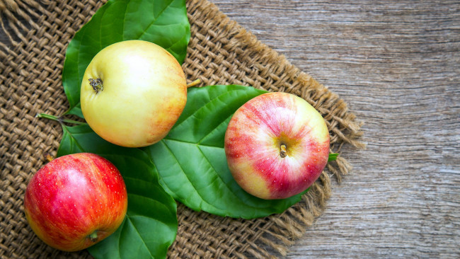 Обои картинки фото еда, яблоки, салфетка, трио, листья