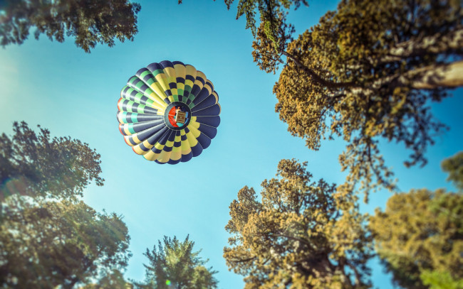 Обои картинки фото авиация, воздушные шары дирижабли, кроны, деревья, шар, воздушный, полет