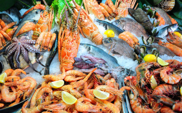 обоя еда, рыба,  морепродукты,  суши,  роллы, креветки, осьминог, свежая, ассорти