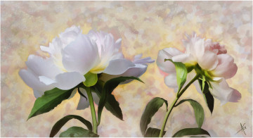 Картинка рисованные цветы пионы