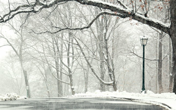 Картинка природа зима снег дорога деревья пейзаж