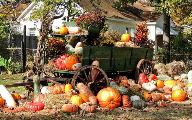 Обои картинки фото еда, тыква, телега, осень, урожай, тыквы