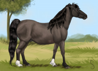 Картинка рисованное животные +лошади взгляд фон лошадь