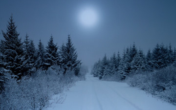 Картинка природа зима солнце дорога снег лес