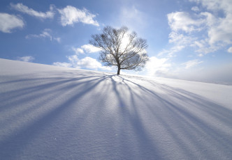 Картинка природа зима тень облака снег лучи дерево