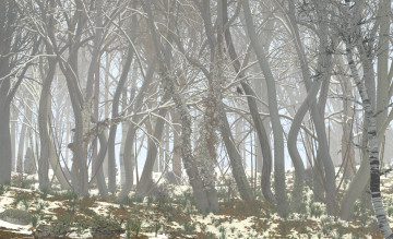 Картинка 3д+графика природа+ nature деревья лес