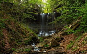 Картинка природа водопады лес деревья водопад камни