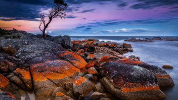 Картинка binalong+bay tasmania australia природа побережье binalong bay