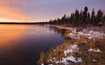 Картинка природа реки озера озеро деревья снег