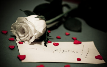 Картинка цветы розы роза сердечки записка признание