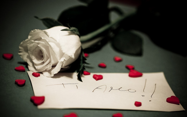 Обои картинки фото цветы, розы, роза, сердечки, записка, признание