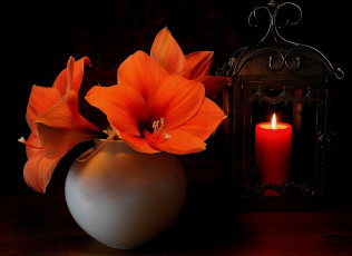 обоя цветы, амариллисы,  гиппеаструмы, свеча, ваза
