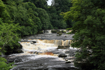 Картинка природа водопады водопад англия yorkshire aysgarth falls река лес