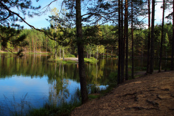 Картинка семиозерье +карельский+перешеек природа реки озера река карелия лес