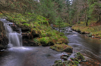 Картинка природа водопады водопад ручей река лес