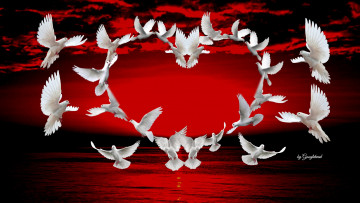 Картинка праздничные день+св +валентина +сердечки +любовь закат голуби сердечко