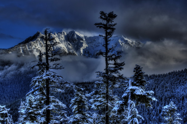Обои картинки фото природа, зима, снег, лес, горы, сша