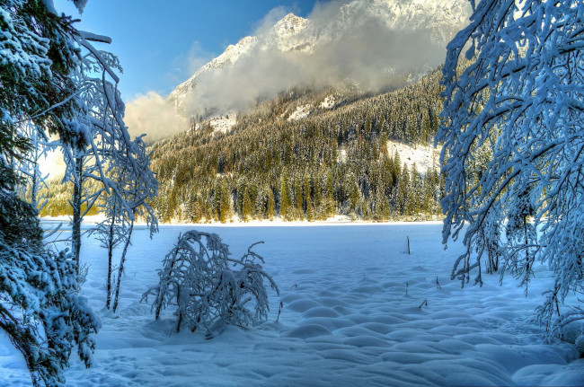 Обои картинки фото природа, зима, горы, снег, лес, австрия