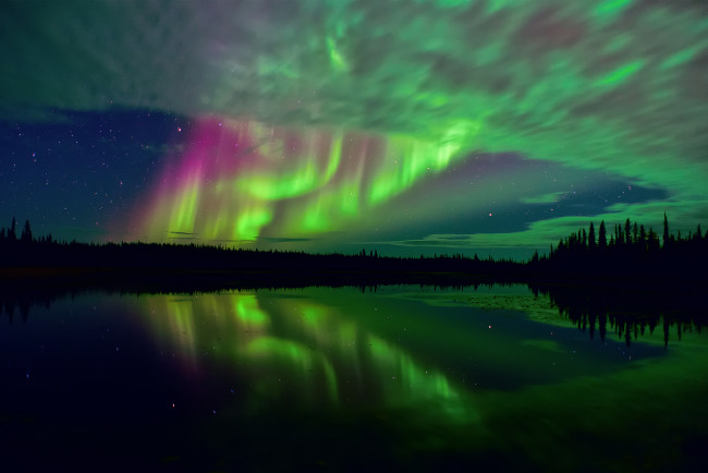 Обои картинки фото природа, северное сияние, лес, отражения, озеро, северная, канада, арктика, тундра, сияния, небо, звезды, ночь