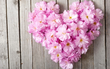 Картинка цветы букеты +композиции сердце love pink heart floral