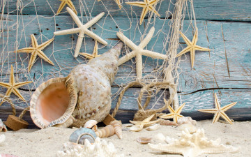 обоя разное, ракушки,  кораллы,  декоративные и spa-камни, пляж, wood, marine, sand, beach, starfishes, seashells, звезды, песок