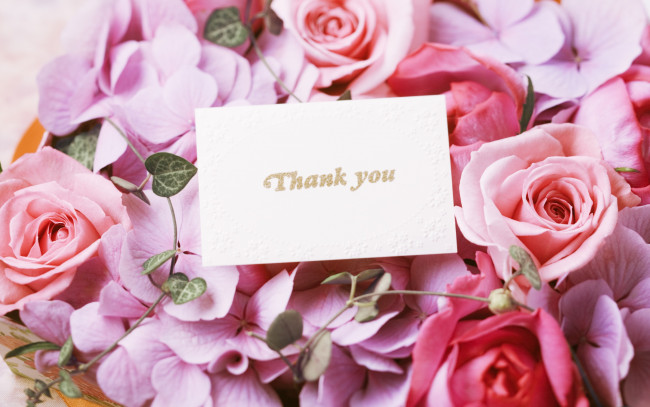 Обои картинки фото цветы, розы, roses, thank, you, card, спасибо, открытки, букет, flowers, bouquet