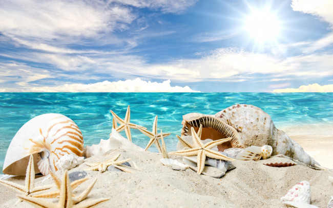 Обои картинки фото разное, ракушки,  кораллы,  декоративные и spa-камни, sand, summer, море, пляж, звезды, песок, солнце, beach, starfishes, seashells, sunshine, sea