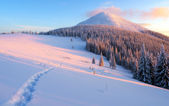 Обои картинки фото природа, зима, гора, снег, деревья, следы, дорожка