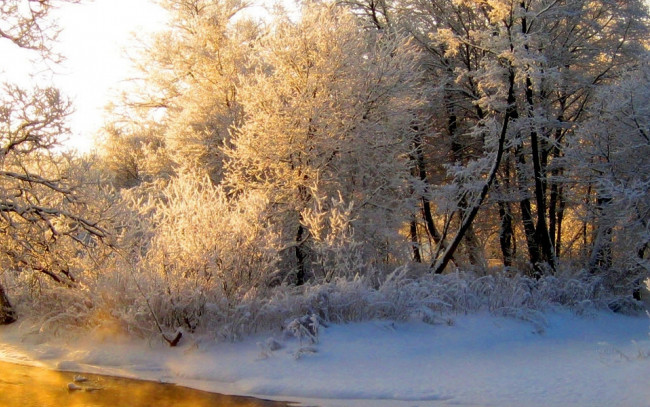 Обои картинки фото природа, зима, оранжевый, иней, седина, свет, река, лес, отражение