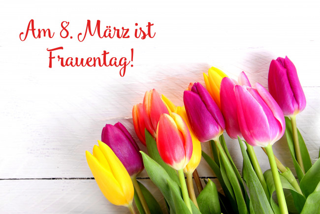 Обои картинки фото праздничные, международный женский день - 8 марта, цветы, праздник, букет, женский, день, 8, марта, тюльпаны