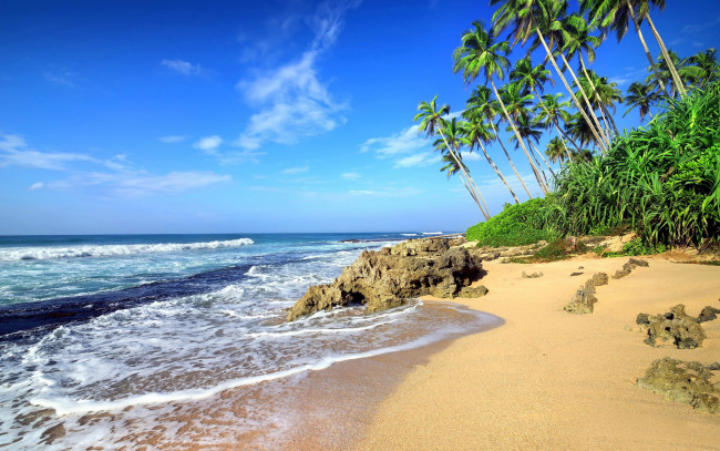 Обои картинки фото природа, тропики, море, камни, пляж, пальмы