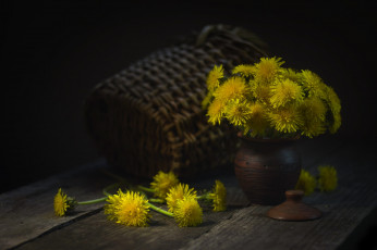 Картинка цветы одуванчики букет желтые весна