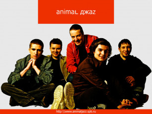 Картинка animal джаzz1 музыка джаz