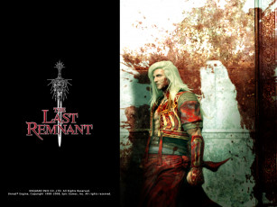Картинка the last remnant видео игры