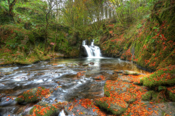 обоя mullinhassig waterfall,  ireland, природа, водопады, осень, лес, река, водопад, ирландия, ireland, mullinhassig, waterfall, листья, камни