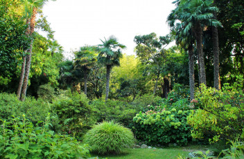 Картинка италия+ломбардия+гардоне-ривьера природа парк кусты пальмы италия ломбардия деревья