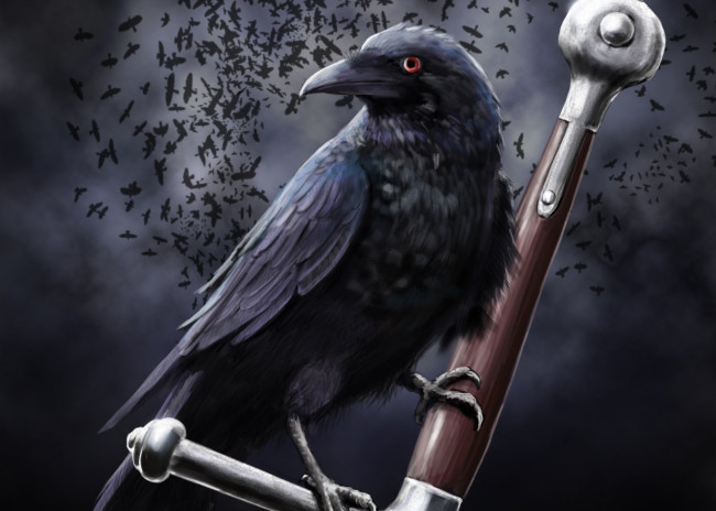 Обои картинки фото ворон, фэнтези, другое, птица, меч, чёрный