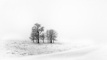 Картинка природа зима поле снег