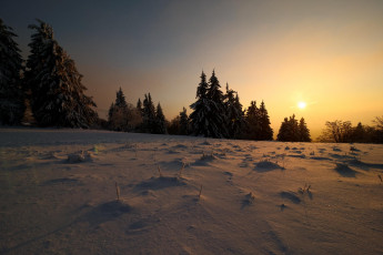Картинка природа восходы закаты снег деревья