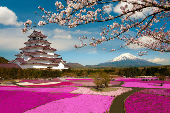 Картинка города -+буддийские+и+другие+храмы дацан Япония синтоизм храм гора цветы пейзаж